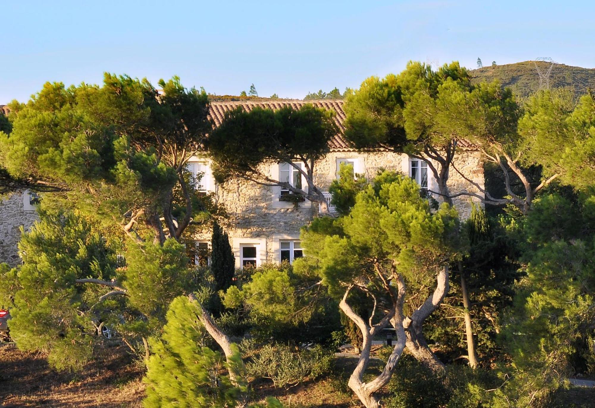 Chambres D'Hotes Chateau De Jonquieres Narbonne Kültér fotó